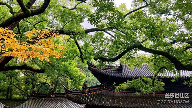 【Galaxy影像】#时光你慢些走+普陀山
