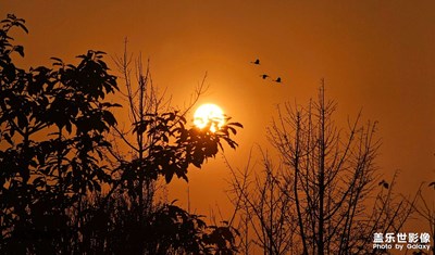 夕阳