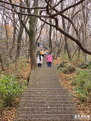 爬琅琊山
