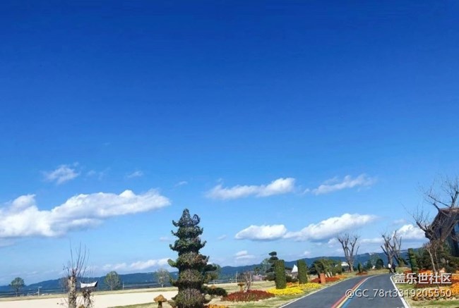 【初冬之美】家门口的风景