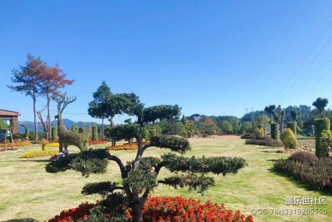 【初冬之美】家门口的风景