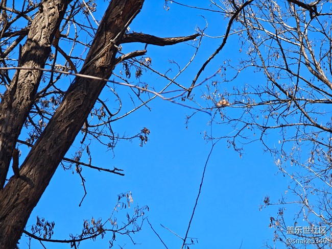 【又是一年冬】+真冻手