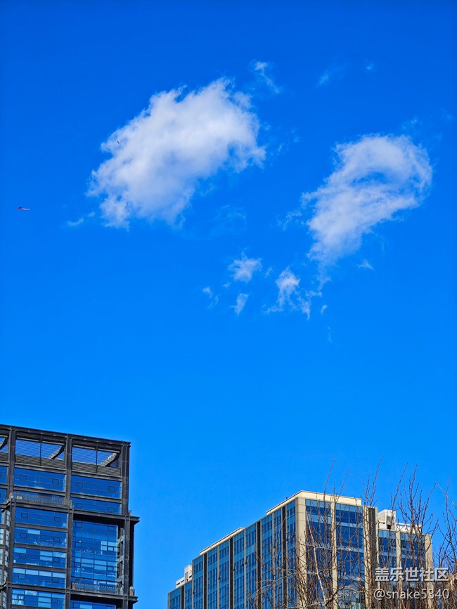 【又是一年冬】+真冻手