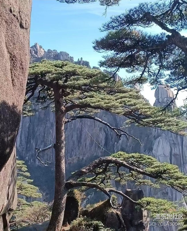 【初冬之美】黄山风光
