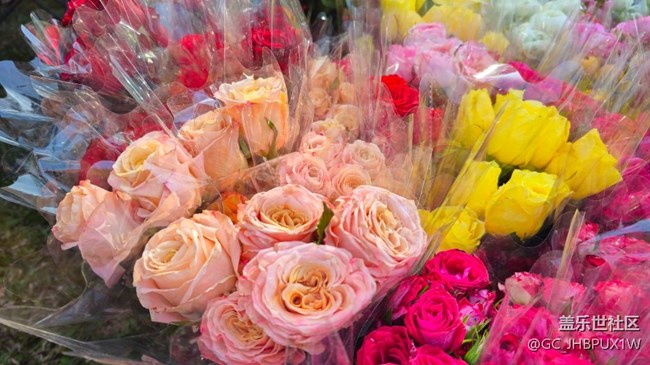 【又是一年冬】冬日里的花店