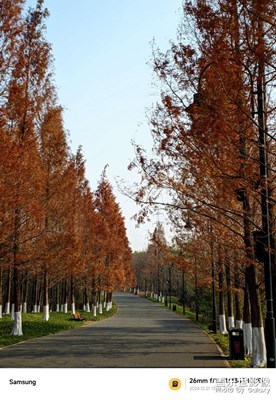东湖闲游