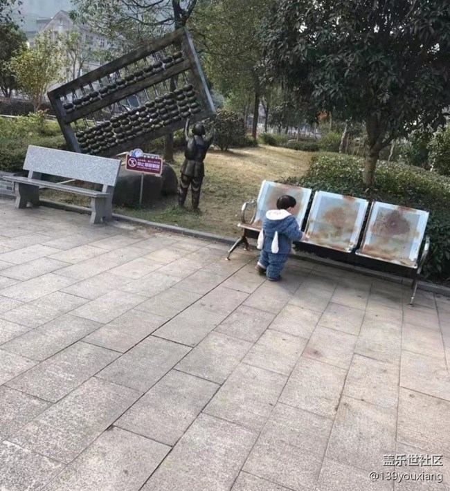 【初冬之美】遛娃