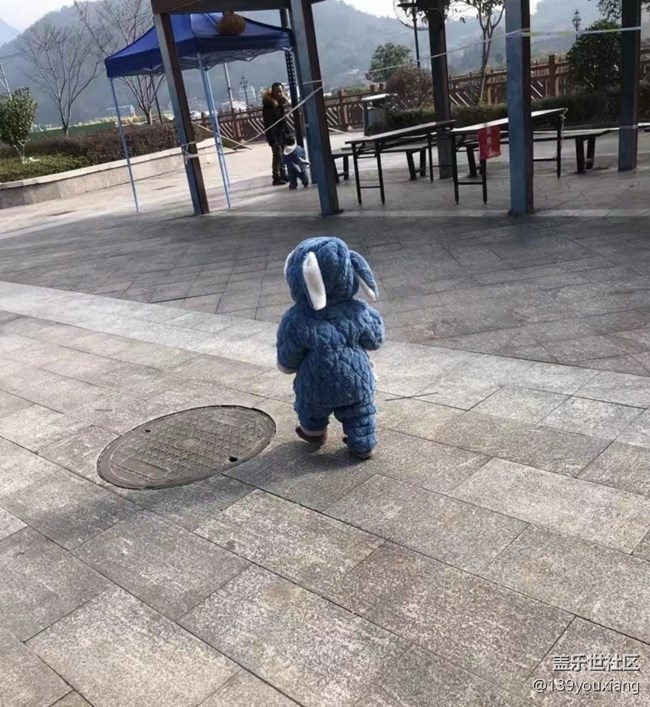 【初冬之美】遛娃