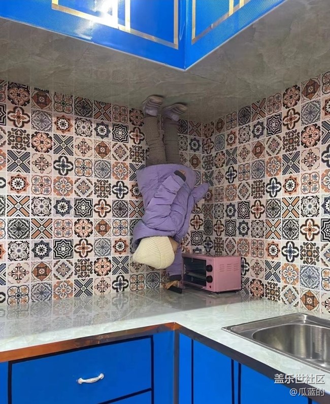 【2024再见】体验颠倒