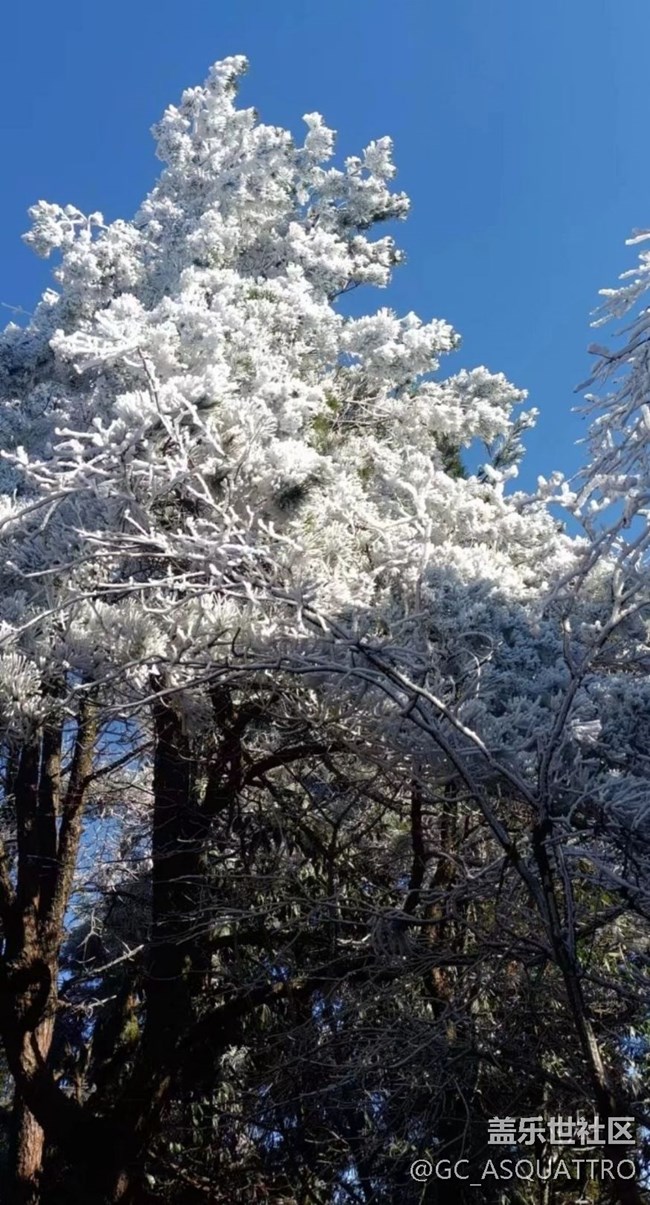 【初冬之美】雪景