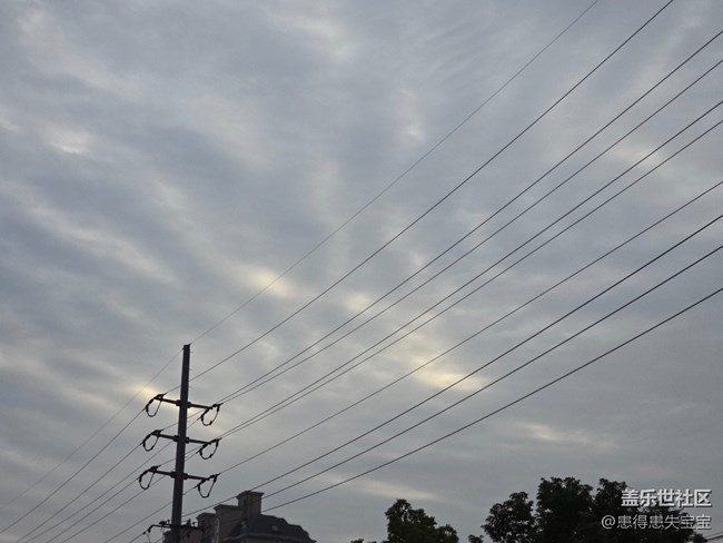 #冬暖熙熙作午晴——仰望天空