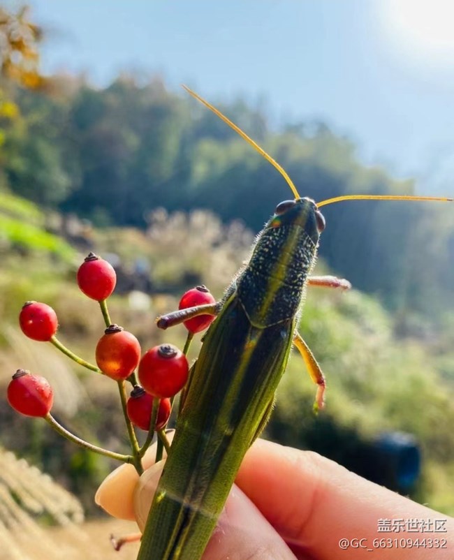 【初冬之美】周末爬山