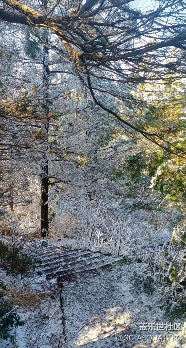 【初冬之美】雪景