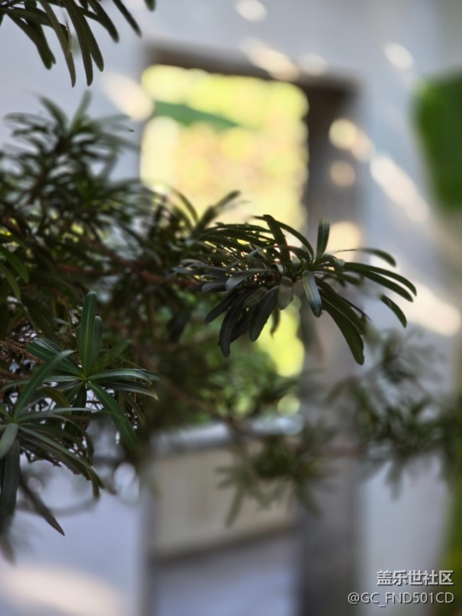 #冬暖熙熙作午晴——公园散步