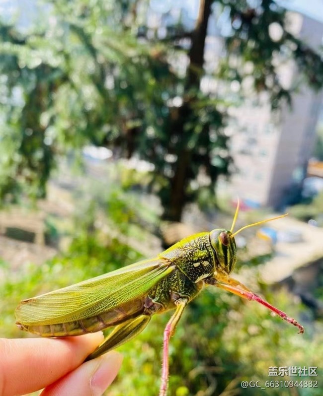 【初冬之美】周末爬山