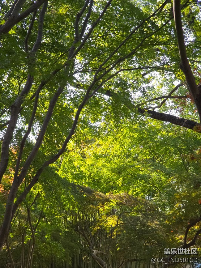 #冬暖熙熙作午晴——公园散步