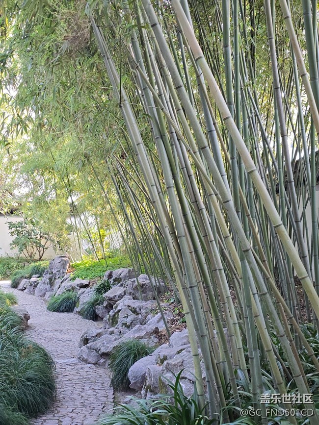 #冬暖熙熙作午晴——公园散步