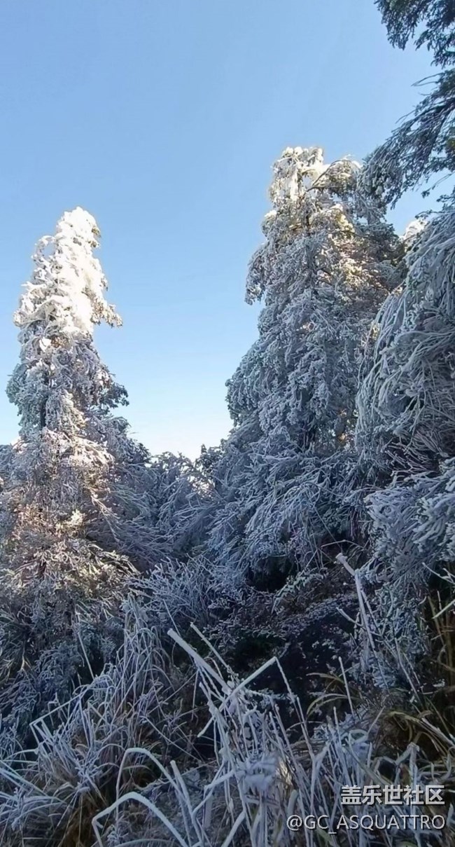 【初冬之美】雪景