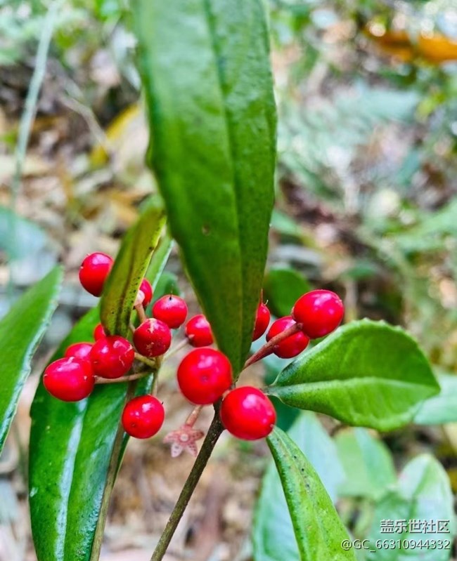 【初冬之美】周末爬山