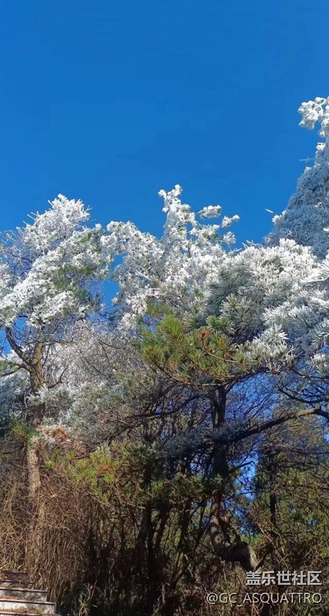 【初冬之美】雪景