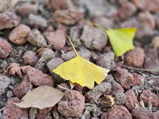 #冬暖熙熙作午晴——公园散步