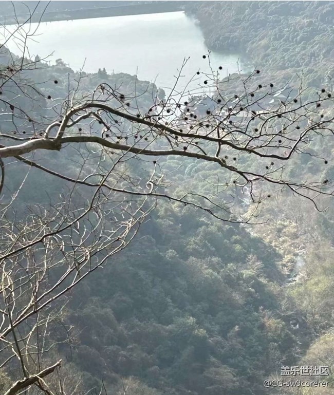 【初冬之美】冬天的山