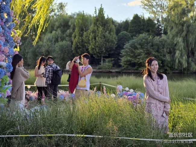 【岁末记忆】午后散步