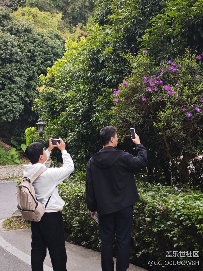【活动回顾】又来阳台山
