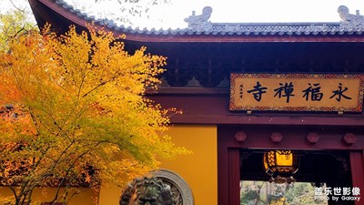 【难忘2024】+岁末杭州灵隐寺祈福 永福寺赏景
