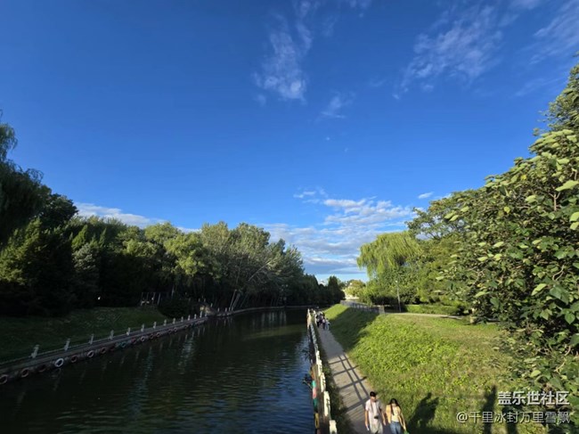 【岁末记忆】午后散步