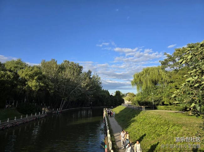 【岁末记忆】午后散步