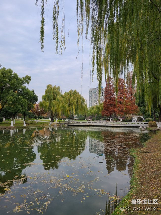 #冬暖熙熙作午晴—— 午后散步