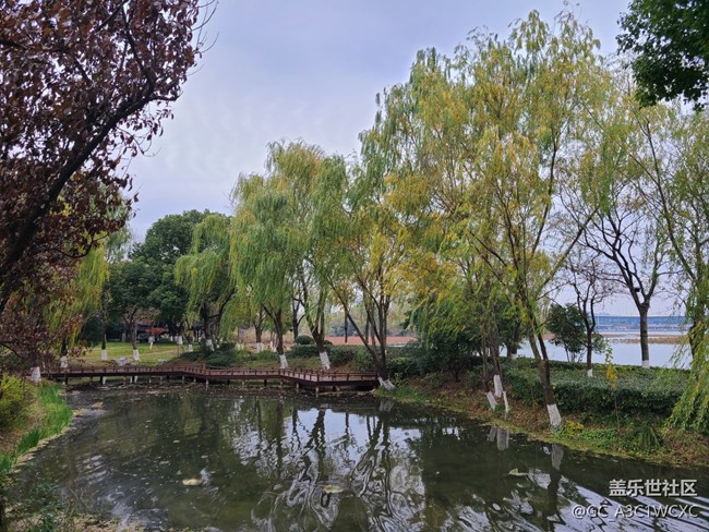 【2024再见】+美好回忆