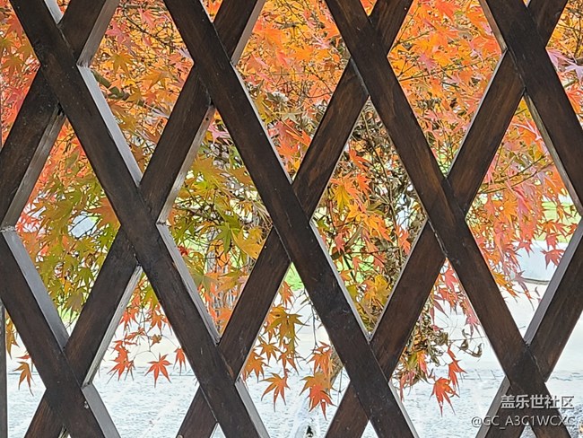 【岁末记忆】岁末之旅