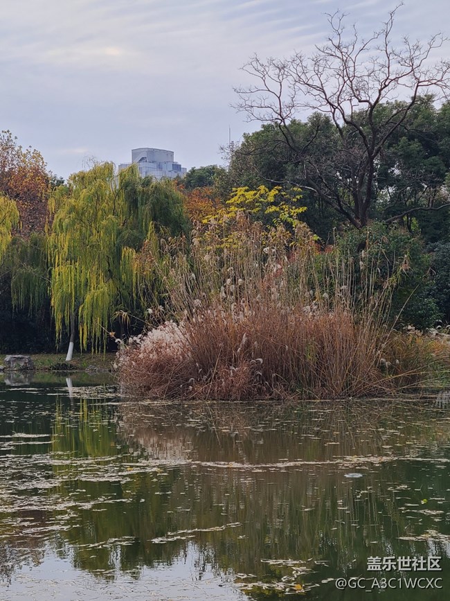 #冬暖熙熙作午晴—— 午后散步