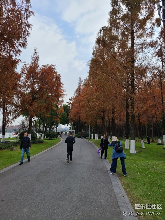 【2024再见】+美好回忆