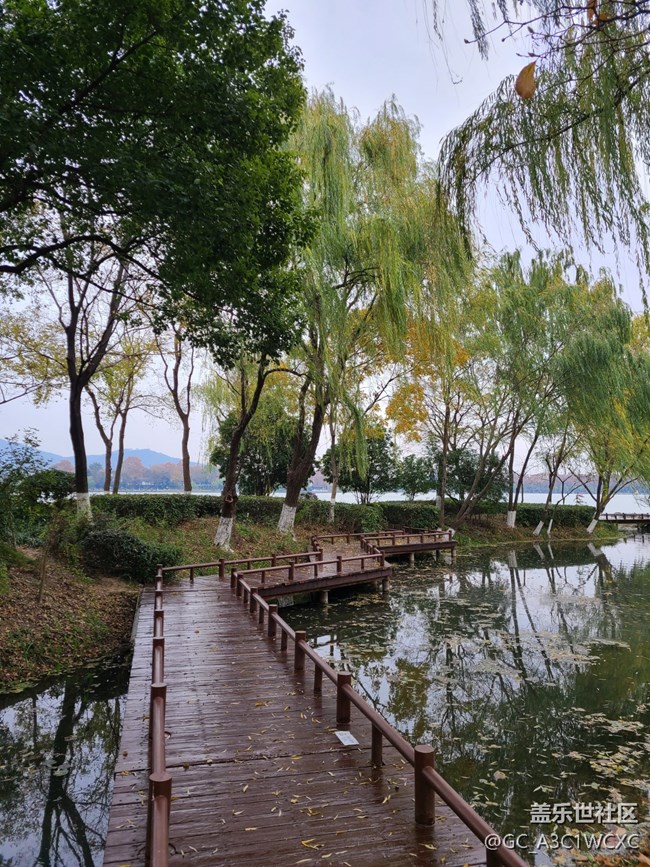 【2024再见】+美好回忆