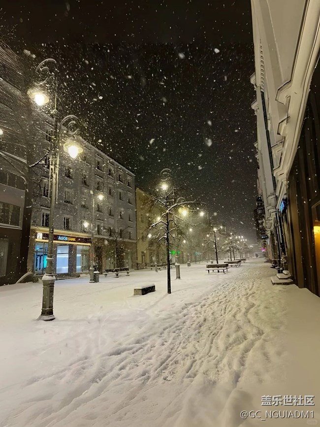 阳光穿透雾凇，金光闪烁，宛如璀璨的明珠。  三星s24u#冬季氛围#