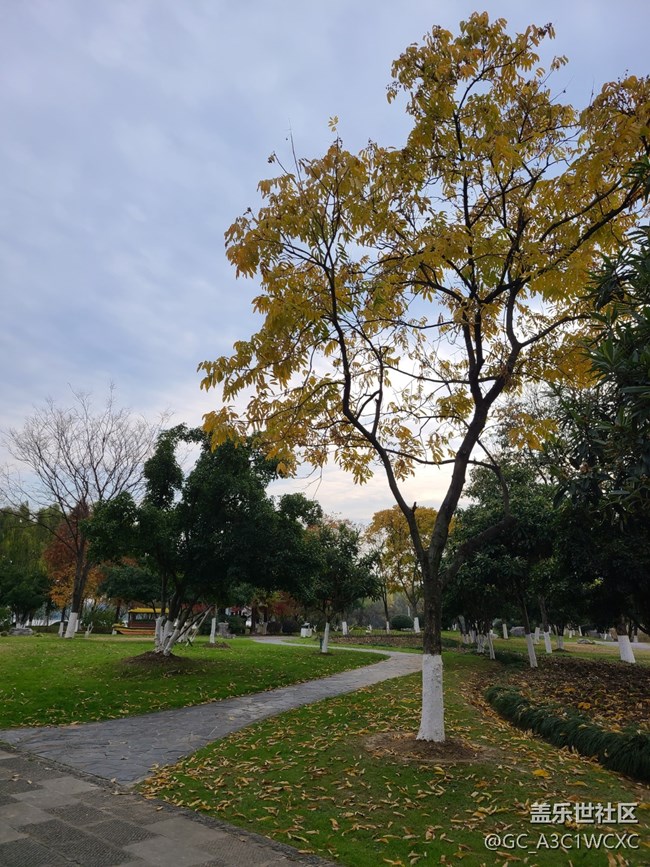 【岁末记忆】岁末之旅