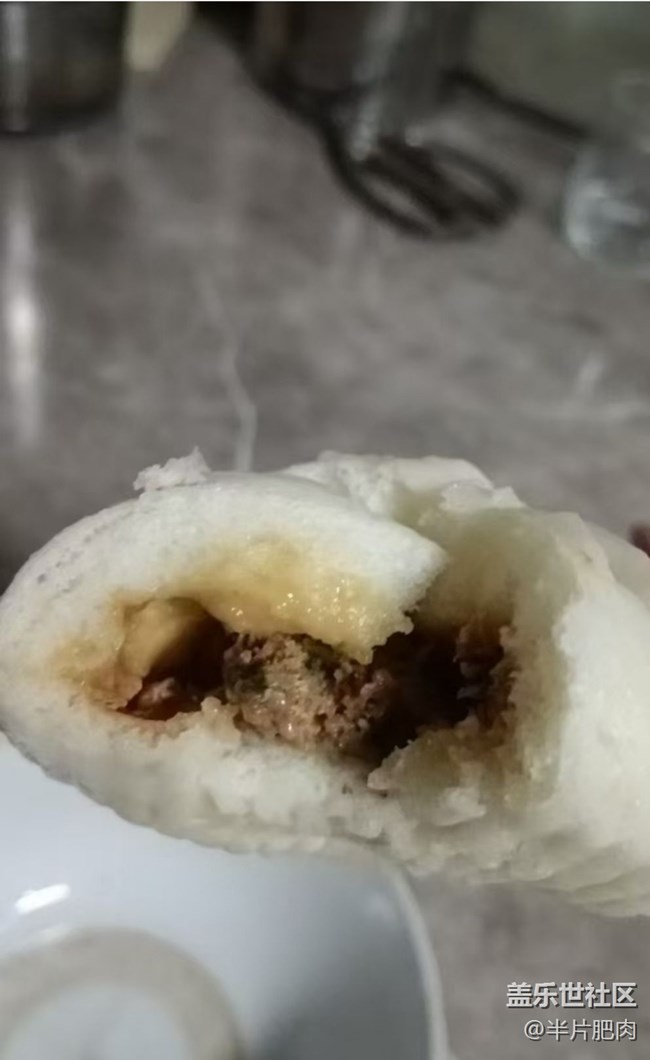 【吃下这碗人间烟火】肉包子