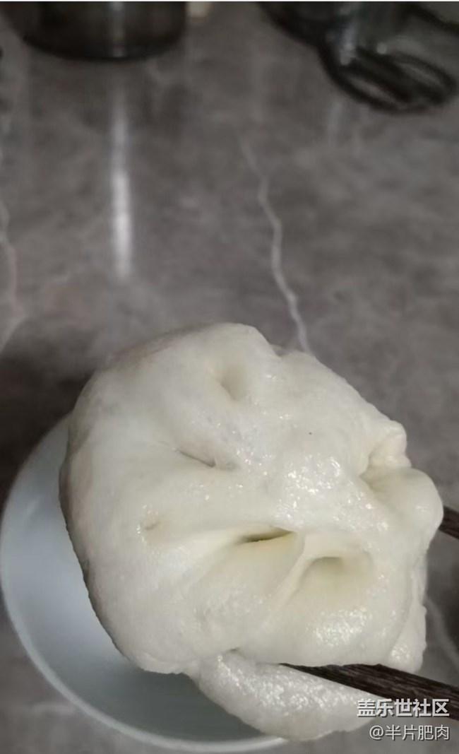 【吃下这碗人间烟火】肉包子