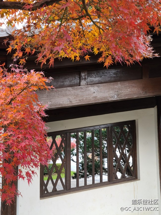 【岁末记忆】岁末之旅