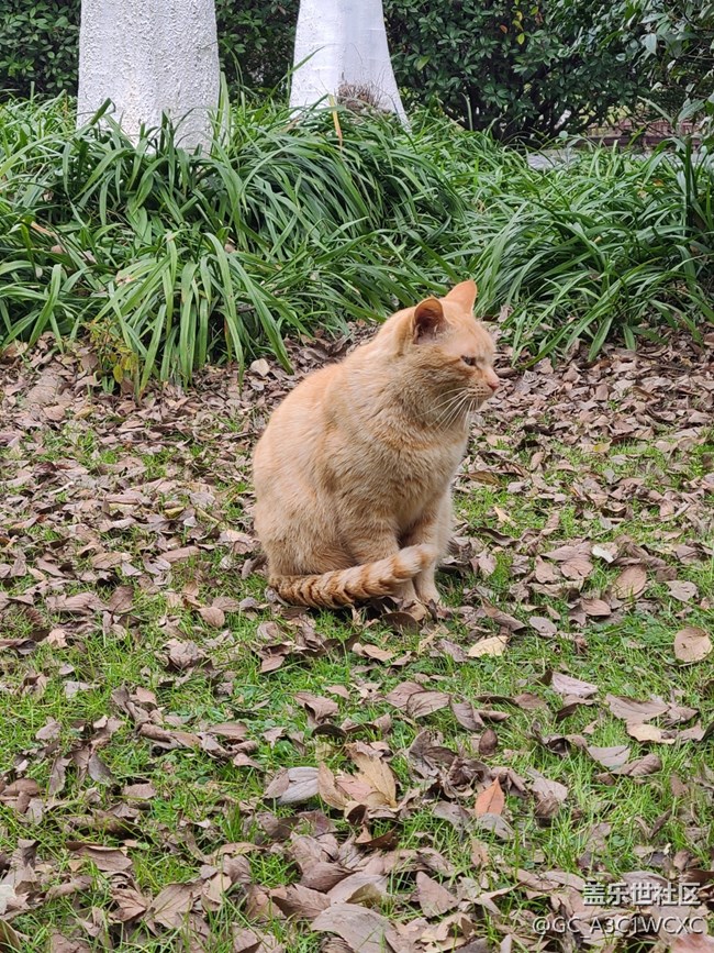 【2024再见】+美好回忆