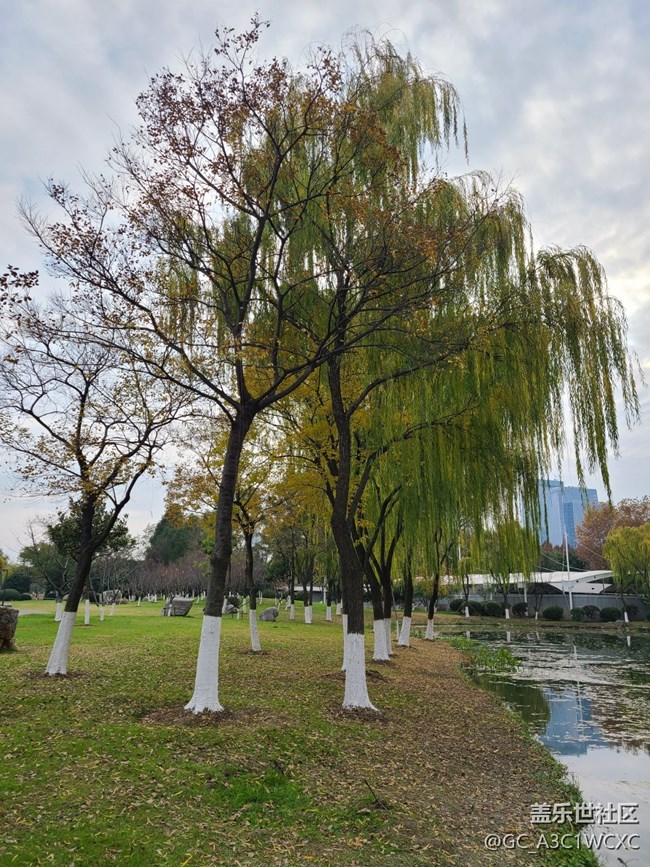 #冬暖熙熙作午晴—— 午后散步