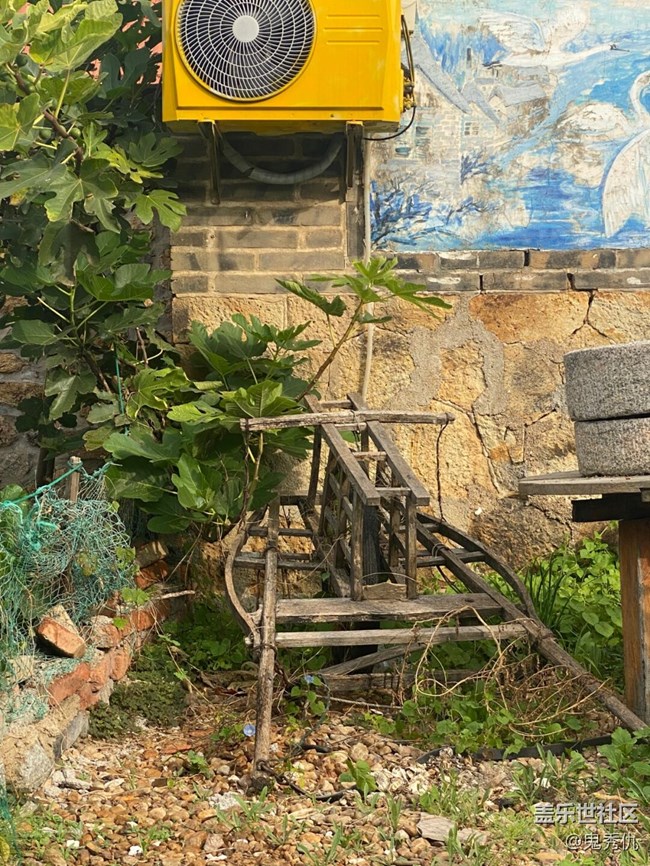 【关于蜀地的冬】野花