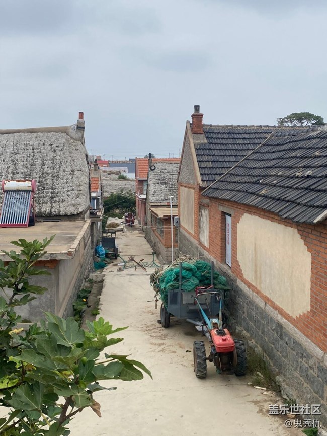 【冬日静谧】一角