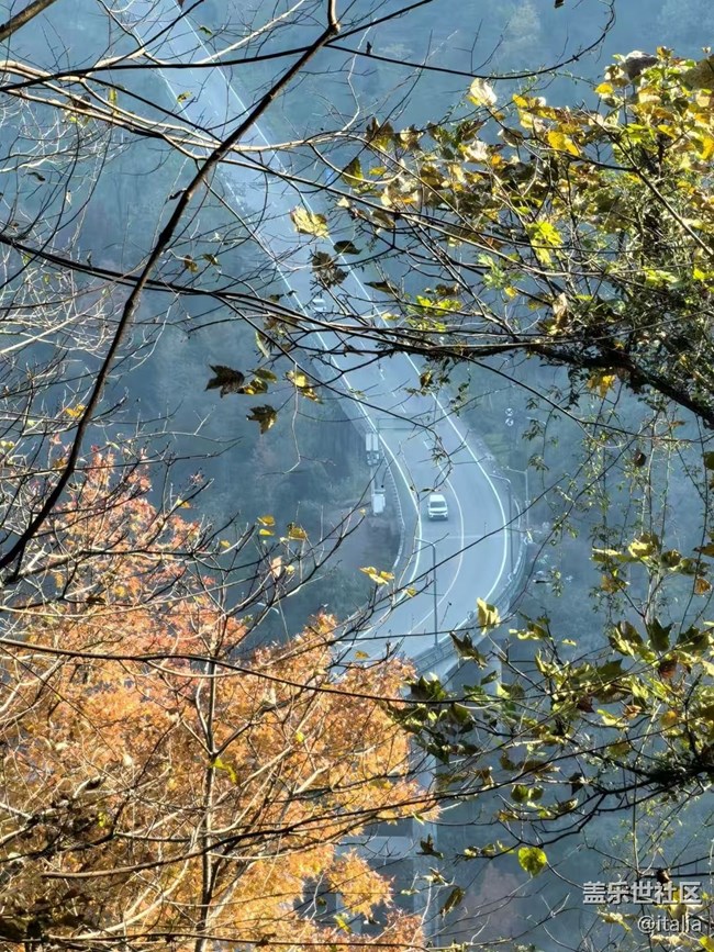 【Galaxy影像】#时光你慢些走+枫景