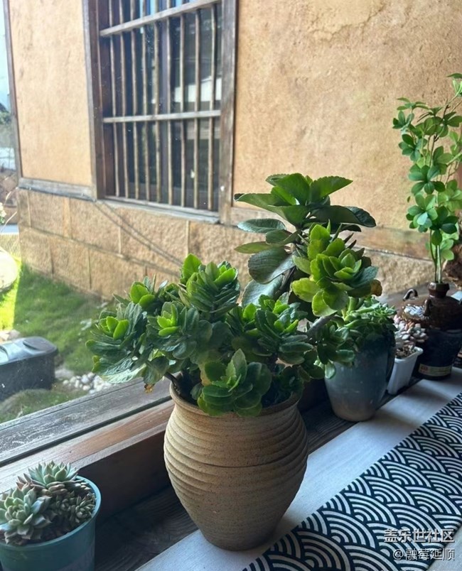 【初冬之美】养眼