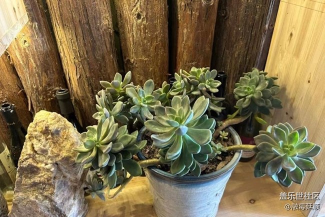 【初冬之美】养眼