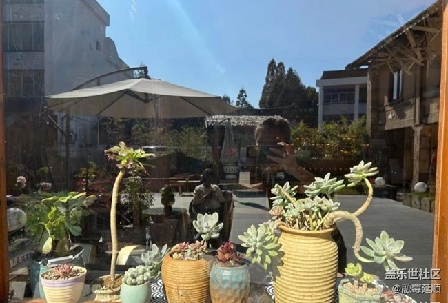 【初冬之美】养眼